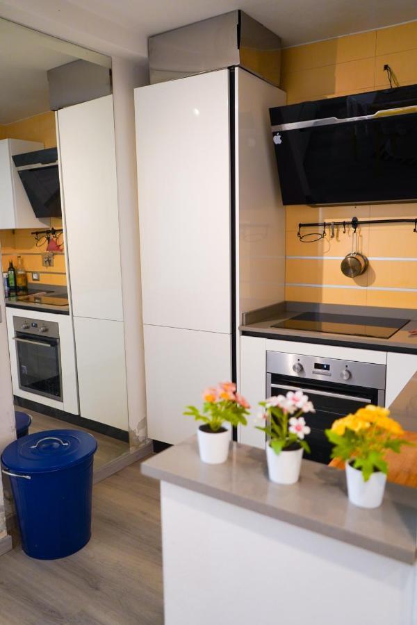 Loft 42 Leilighet Pisa Eksteriør bilde